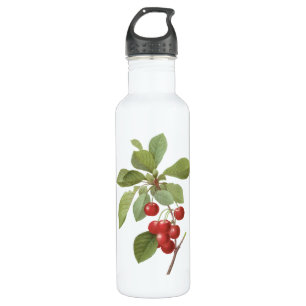 Vintage-Frucht-Kirsch-Nahrung, Kirschen von Redout Edelstahlflasche