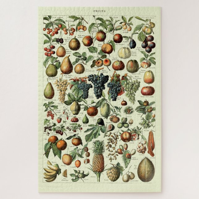 Vintage-Früchte von Adolphe Millot (Vertikal)