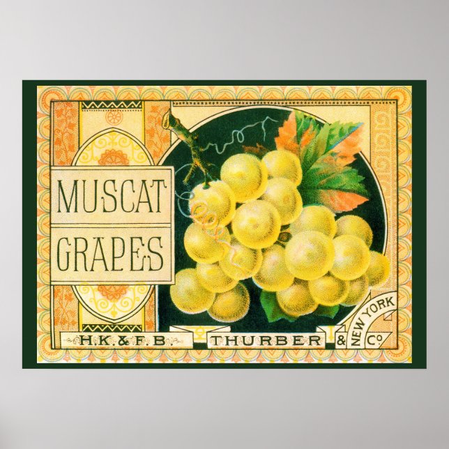 Vintage Fruchtkäse Poster (Vorne)