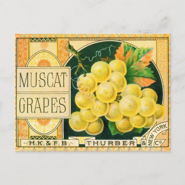 Vintage Fruchtkäse Postkarte (Vorderseite)