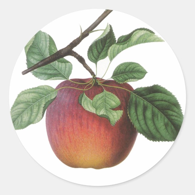 Vintage Fruchtkleber Runder Aufkleber (Vorderseite)