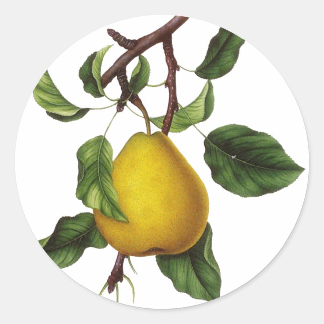 Vintage Fruchtkleber Runder Aufkleber (Vorderseite)