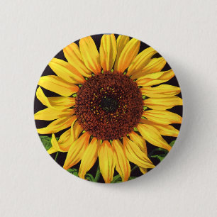 Vintage-Fruchtschachtel-Etikettenkunst Orangedale Button