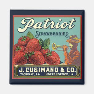 Vintage-Fruchtschachtel-Etikettenkunst Patriot Erd Magnet