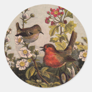 Vintage-Frühlings-Rotkehlchen-Singvögel-Botanik-Bl Runder Aufkleber