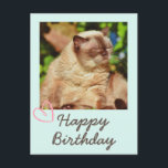 Vintage Funny Cat und Happy Birthday Postcard Postkarte<br><div class="desc">Es ist die Vintage Funny Cat und Happy Birthday Postcard. Die schläfrige Katze ist lustig und hübsch. Sie können Ihre Nachrichten einfügen. Das wird deinen Freund zum Lachen bringen. Das wird ein bedeutendes Geschenk und macht Ihren Freund zum Lachen. Überbringen Sie herzlichen Glückwunsch jetzt und Seien Sie einer der wenigen....</div>