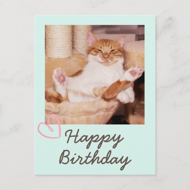 Vintage Funny Cat und Happy Birthday Postcard Postkarte (Vorderseite)