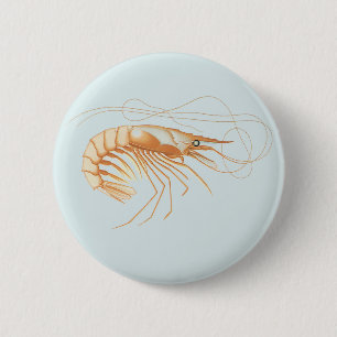 Vintage Garnelen, Anatomie von Meerestieren Button