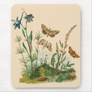 Vintage Garten-Insekten, Schmetterlinge, Raupen Mousepad