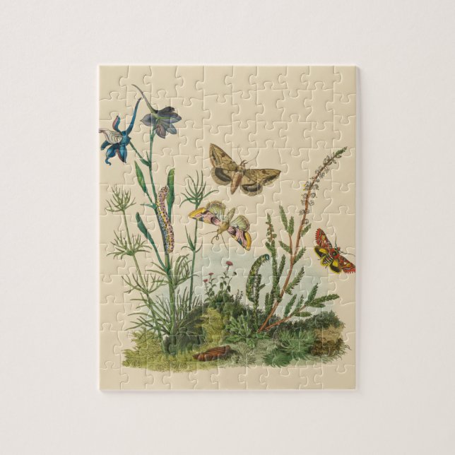 Vintage Garteninsekten, Schmetterlinge, Raupen (Vertikal)