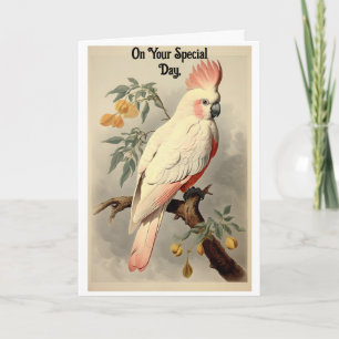 Vintage Geburtstagskarte mit tropischem Vogel Karte