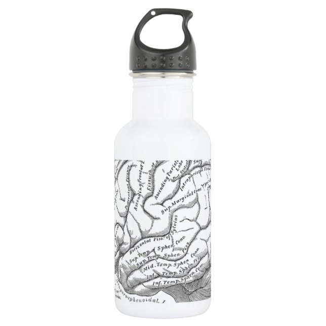 Vintage Gehirn-Anatomie Trinkflasche (Vorderseite)