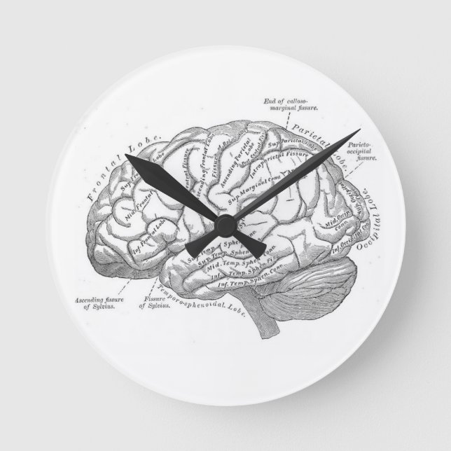 Vintage Gehirnanatomie Runde Wanduhr (Vorderseite)