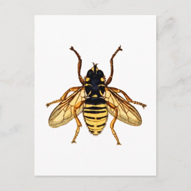 Vintage Gelbbiene Postkarte (Vorderseite)