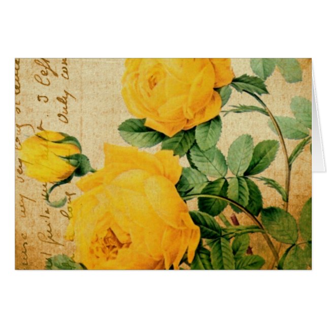 Vintage Gelbe Rosen (Vorderseite (Horizontal))