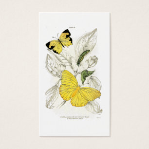 Vintage gelbe Vintage Insekten der
