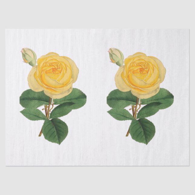 Vintage Gelbrosen-Blume Seidenpapier (Vorderseite)