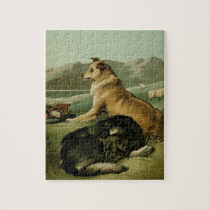 Vintage-Gemälde: Collie-Hunde