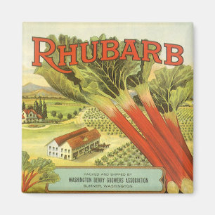 Vintage-Gemüse-Dosenetiketten-Kunst, Rhabarberfarm Magnet