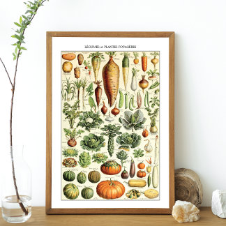 Vintage Gemüsediagramm Adolphmeile Poster