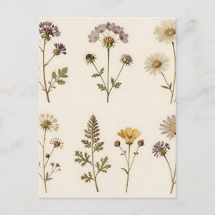 Vintage gepresstes Wildblumen-Botanikmuster Postkarte