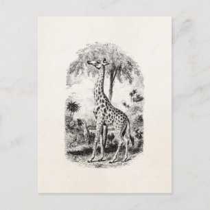 Vintage Giraffe Personalisierte Tierdarstellung Postkarte