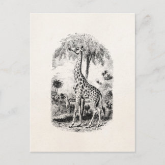 Vintage Giraffe Personalisierte Tierdarstellung Postkarte