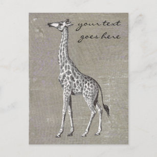 Vintage Giraffe Postkarte