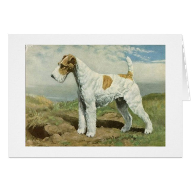 Vintage Grafik - Drahtfox-Terrier-Hund, (Vorderseite (Horizontal))