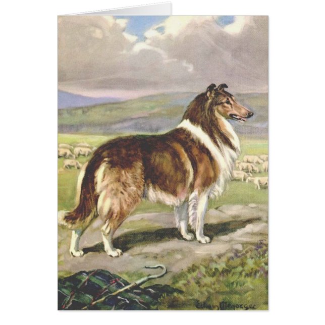 Vintage Grafik - rauer Collie-Hund, (Vorne)