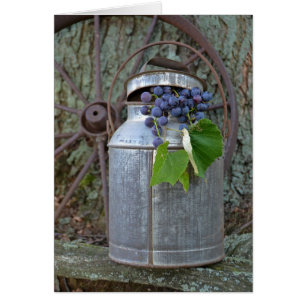 Vintage Grapes