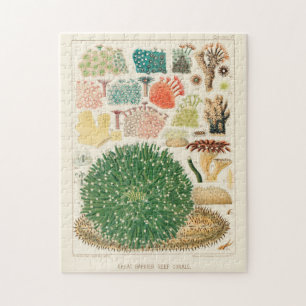 Vintage Great Barrier Reef von Australien Korallen