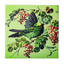 Vintage Green Bird Illustration von L. Prang & Co 