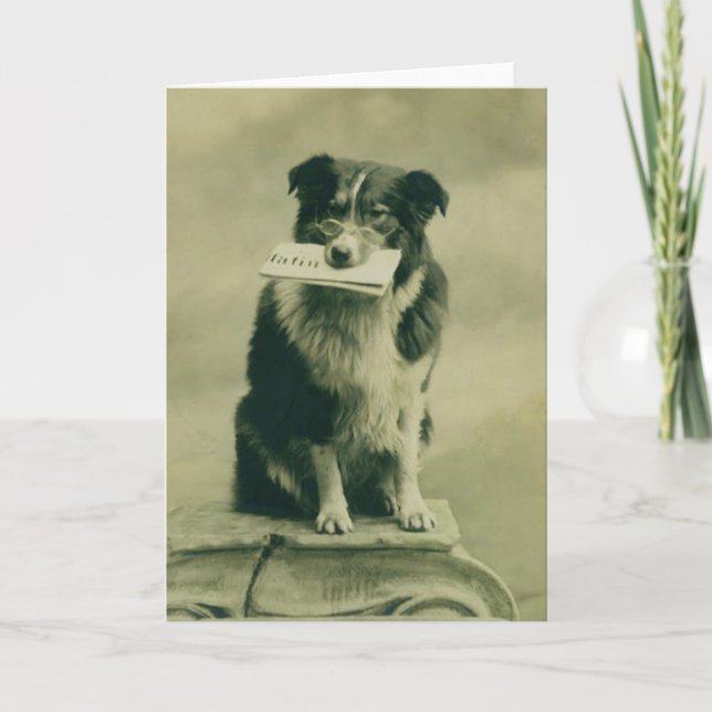 Vintage Grenz-Collie-Grußkarte Karte (Vorderseite)