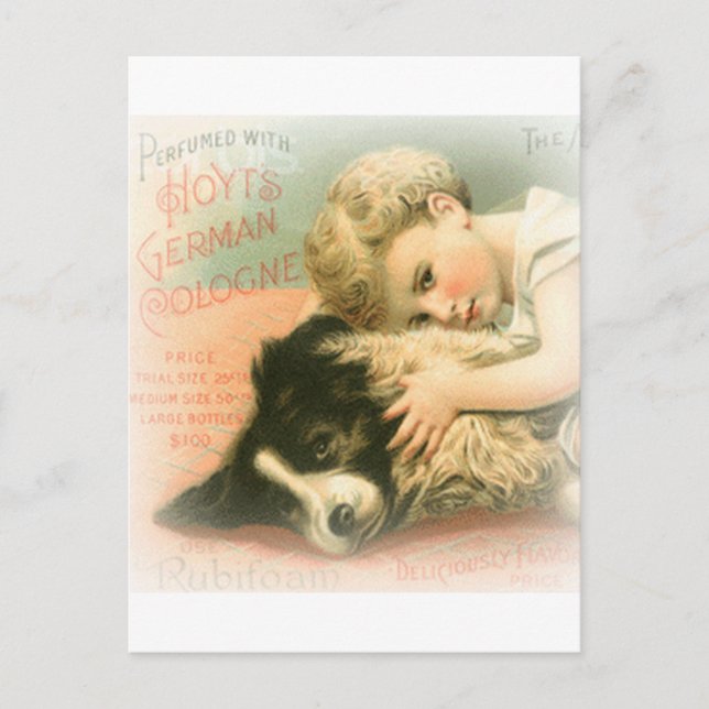 Vintage Grenz-Collie-Postkarte Postkarte (Vorderseite)