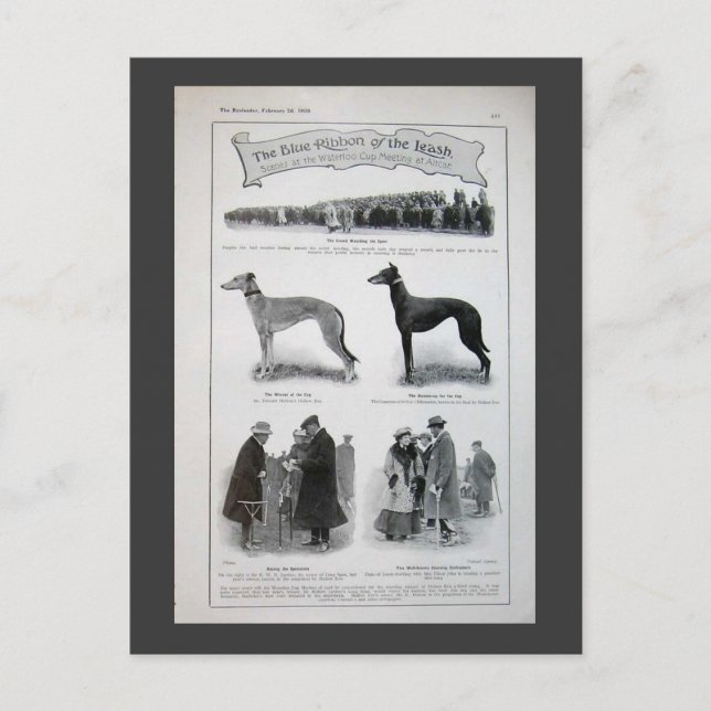Vintage Greyhound News Postkarte (Vorderseite)
