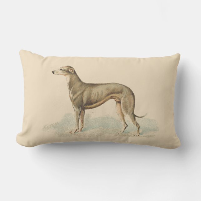 Vintage Greyhound Whippet Print Lendenkissen (Vorderseite)