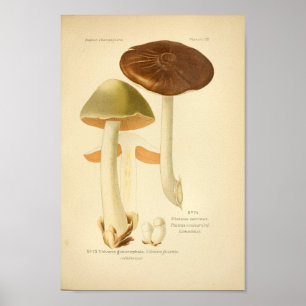 Vintage grünbraune Pilze Kunst Französisch drucken Poster