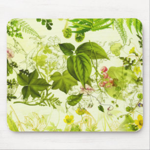 Vintage Grünflächen Botanische Wildblumen Wasser Mousepad