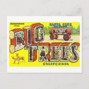 Vintage Grüße aus Big Trees, Kalifornien, Postkarte