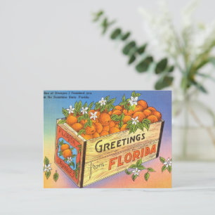 Vintage Grüße aus Florida Citrus Frucht Feiertagspostkarte
