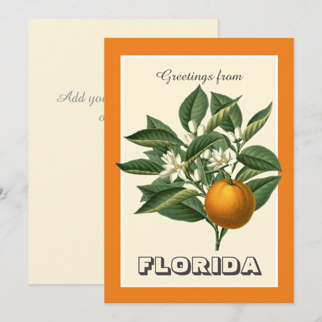 Vintage Grüße aus Florida Orange Frucht  (Vorne/Hinten)