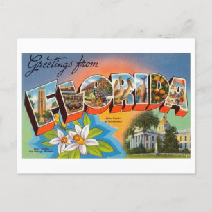 Vintage Grüße aus Florida Postkarte