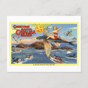 Vintage Grüße von Santa Catalina Postkarte