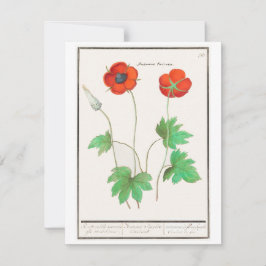 Vintage Grußkarte mit Blumenmotiven Mitteilungskarte