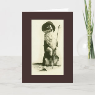 Vintage-Grußkarte mit Border Collie Karte