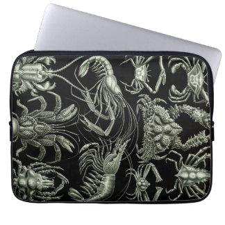 Vintage Haeckel-Crustations Laptopschutzhülle