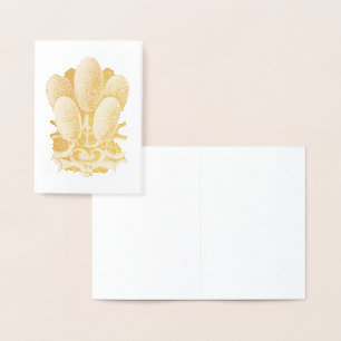Vintage Haeckel Folienkarte