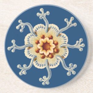 Vintage Haeckel Getränkeuntersetzer
