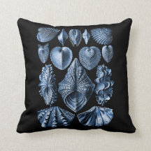 Vintage-Haeckel-Meeresmuscheln-Kissen